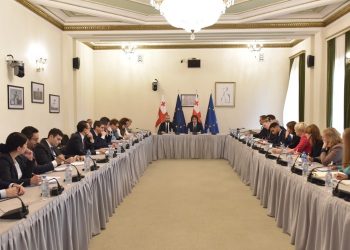 Kobakhidze Meets Members of EU’s Eastern Europe and Central Asia Working Group