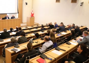 Healthcare and Social Issues Committee Deliberating Implementation of Law on Tobacco Control