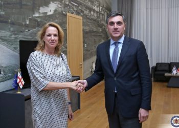 Georgian FM, New Israeli Amb. Discuss Deepening Cooperation