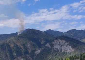 Forest Fire Breaks Out in Likani