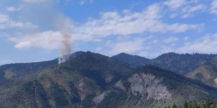 Forest Fire Breaks Out in Likani