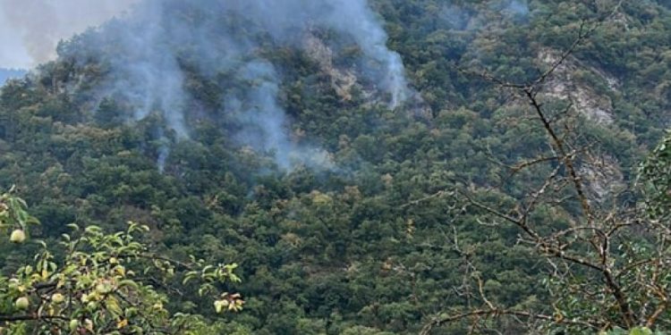 3 Helicopters of the Border Police Resume Fire Extinguishing Works Near Likani