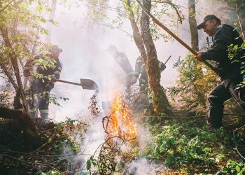 The Borjomi and Mestia Fires