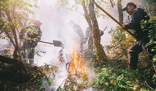 The Borjomi and Mestia Fires
