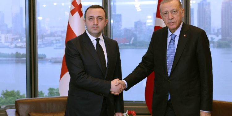 President of Republic of Turkey Discusses Partnership Relations between Two Countries