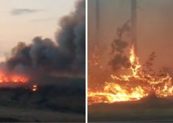 Fire in Tskneti Extinguished, In Nafetvrebi – Localized, Fire Centers Still Remain in Tsavkisi