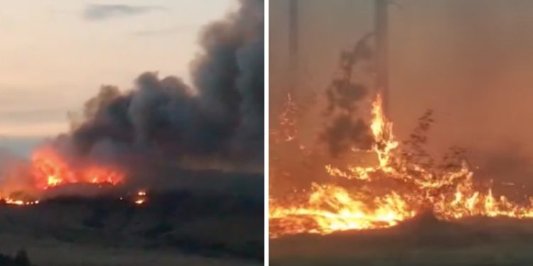 Fire in Tskneti Extinguished, In Nafetvrebi – Localized, Fire Centers Still Remain in Tsavkisi