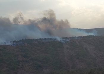 Fire In Nafetvrebi and Tskneti Extinguished, In Tsavkisi – Localized