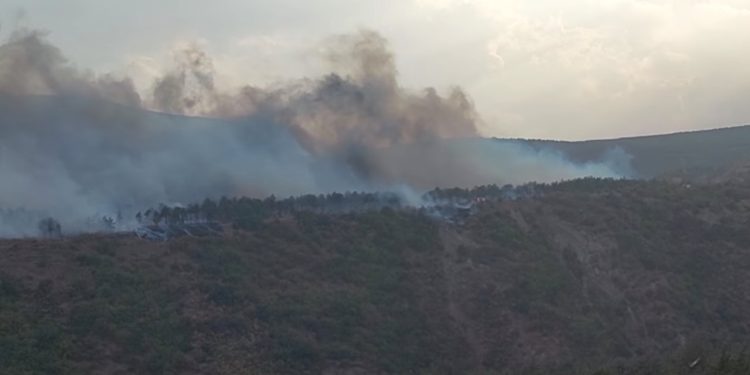 Fire In Nafetvrebi and Tskneti Extinguished, In Tsavkisi – Localized