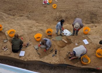 Archaeologists Find 1.8 mln-year-old Tooth in Dmanisi