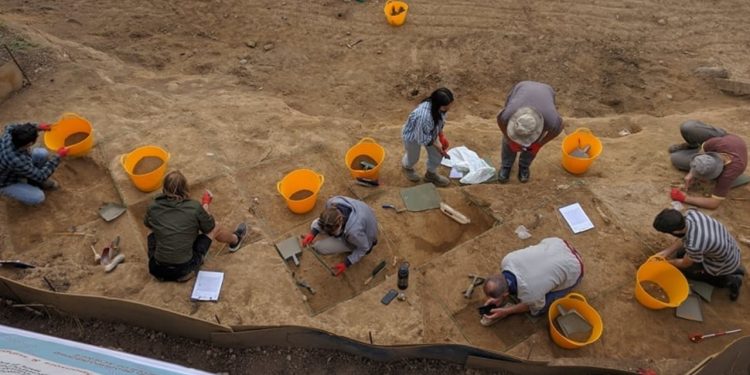 Archaeologists Find 1.8 mln-year-old Tooth in Dmanisi