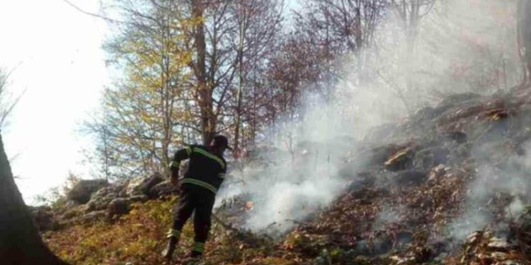 Main Sources of Fire in Mestia Extinguished