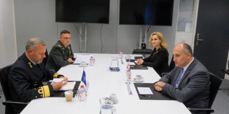 Georgian Defense Minister, NATO Military Committee Chair Discuss Regional Security Issues