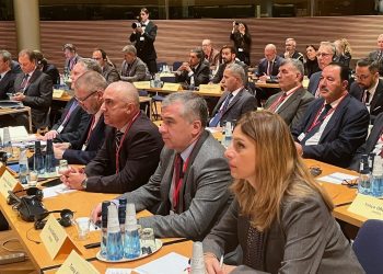 Parliamentary Delegation to NATO PA Participate in Rose-Roth Seminar in Helsinki