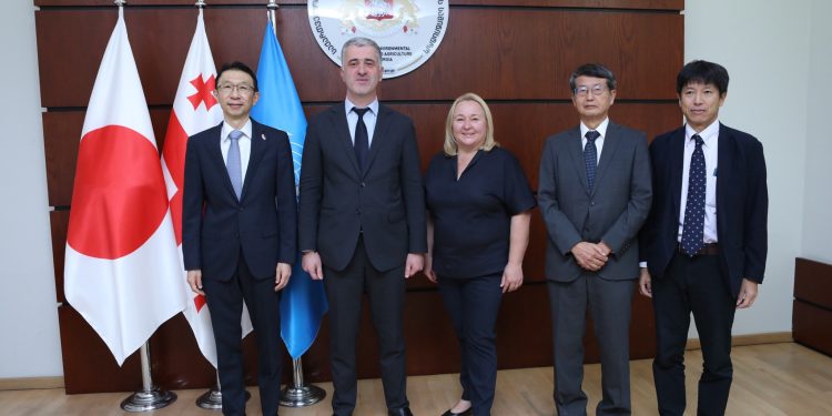 Georgia Harnesses Japan’s Experience in Sustainable Forest Management and Environmental Tourism