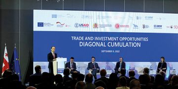 The Importance and Benefits of Diagonal Cumulation between Georgia, Türkiye and the EU