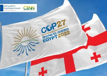 COP27 and Georgia’s Ambitious Goals to Help Combat Climate Change