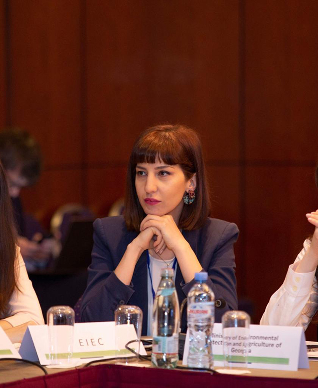 Maia Tskhavaradze, Head of the Climate Change Division at MEPA