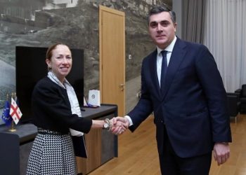 Darchiashvili Meets with Kelly Degnan, Discusses Issue of Strategic Partnership between US and Georgia