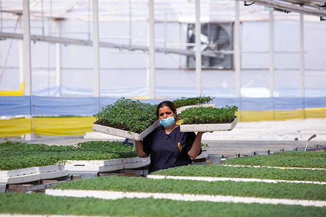 Officials hope the workers will bring modern farming techniques home to Georgia. Source: Georgian Agriculture Ministry