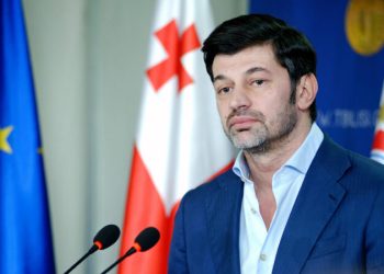 Tbilisi Mayor on Vake Park Tragedy: Those Responsible Will be Punished