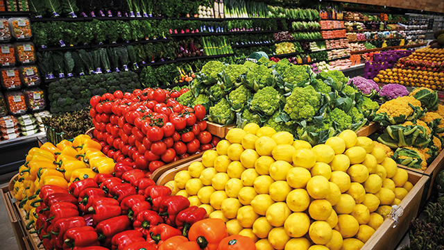 Georgia is a land for extraordinarily fruitful agriculture, and it should be involved not in industrial development, but exclusively in farming. Source: GettyImages