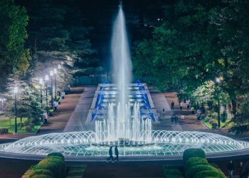 9 Arrested in Connection with the Vake Park Tragedy, Including Head of Greenservice +