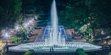 9 Arrested in Connection with the Vake Park Tragedy, Including Head of Greenservice +