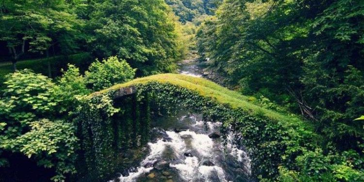 Parliament Endorses Bill on Creation and Management of Tana and Redzami Protected Areas