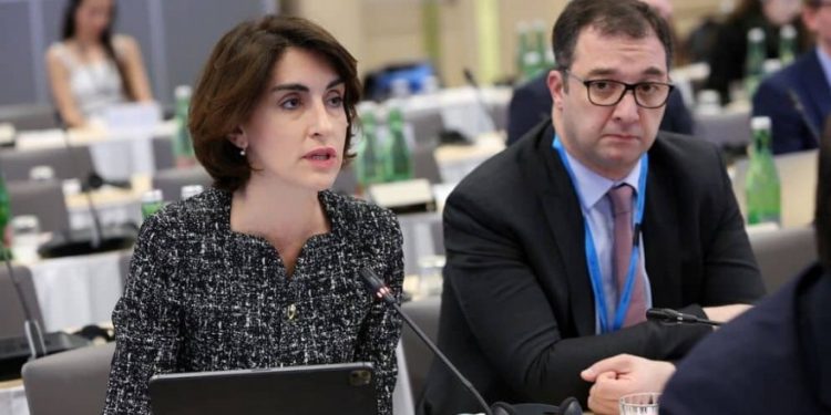 EU Member State Parliamentarians Adopt Declaration and Support European Perspective of Georgia