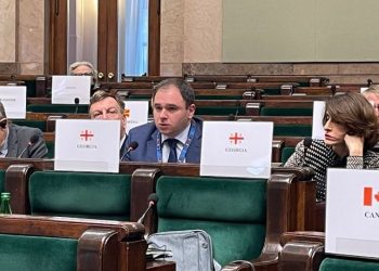 Samkharadze: In Currently Occupied Territories, Georgians Still Subjected to Discrimination Based on Ethnicity