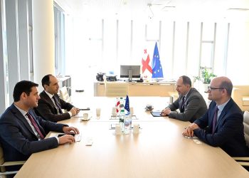 Economy Minister, EU Amb. Discuss Dynamics of EU-Georgia Relations
