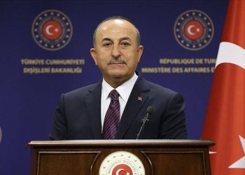 Turkish FM: EU should Extend from the Balkans to Georgia