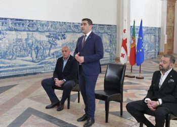 Chair of Diaspora: We have Powerful Diasporas in Other Nations that Represent Georgia with Dignity