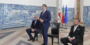 Chair of Diaspora: We have Powerful Diasporas in Other Nations that Represent Georgia with Dignity