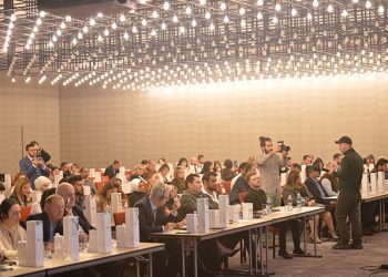 Pro Vision Managers on Expectations Related to Their Activities on the Georgian Market