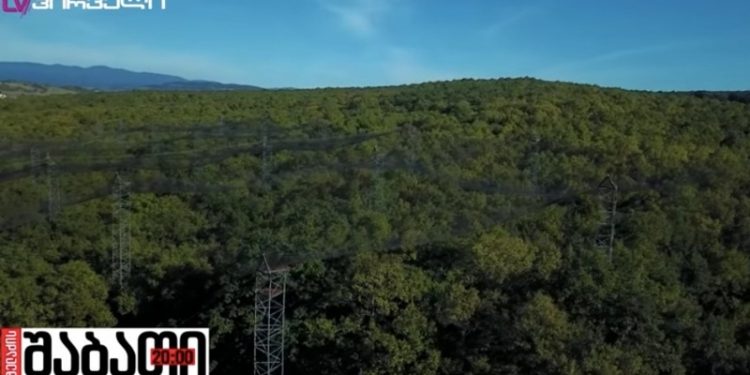 State Forest in Chorvila Village Auctioned to Ivanishvili-Associated Company