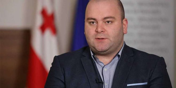 For Georgia Member: De-oligarchization Bill a Very Good Illustration of who the Georgian Dream is Covering