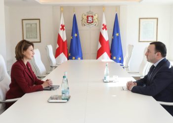 PM Meets with Ambassador of Georgia to Council of Europe and Discusses Prospects of European Integration of Georgia