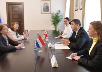 Speaker Meets with Ambassador of Netherlands, Underlines Importance of Intensification of Committee-to-Committee Ties