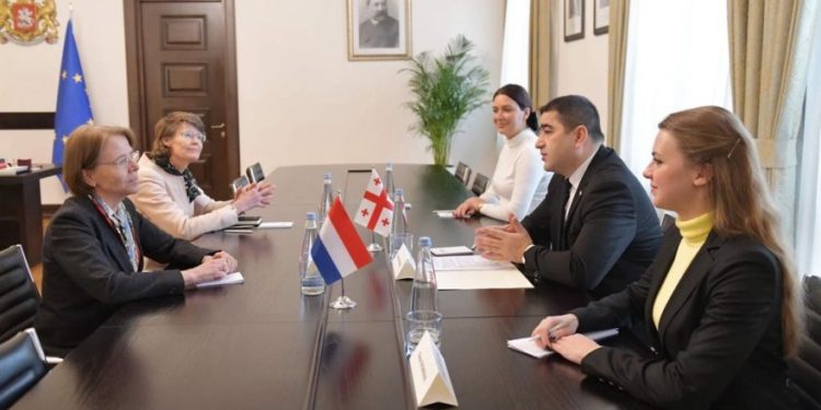 Speaker Meets with Ambassador of Netherlands, Underlines Importance of Intensification of Committee-to-Committee Ties