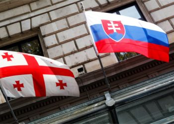 Foreign Affairs Committee of National Council of Slovakia Adopts Resolution Supporting European Future of Georgia