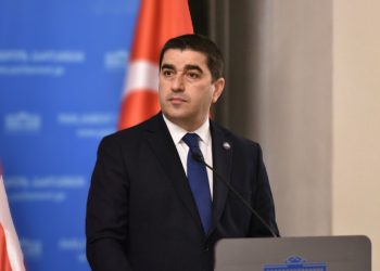 Speaker: Recently, 6 Georgians Lost their Lives in Russia’s Aggressive War against Ukraine