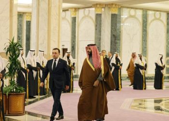 Georgian PM, Saudi Crown Prince Review Expanding Partnership