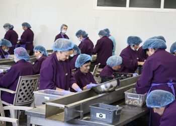 TBC Business Awards Nominates Abbe Timeo, Georgia’s Snail Exporter