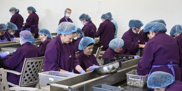 TBC Business Awards Nominates Abbe Timeo, Georgia’s Snail Exporter