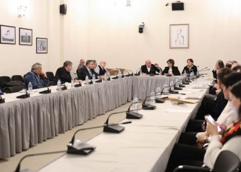 Culture Committee to Commence Consideration of Cultural Diplomacy Strategy in 2023