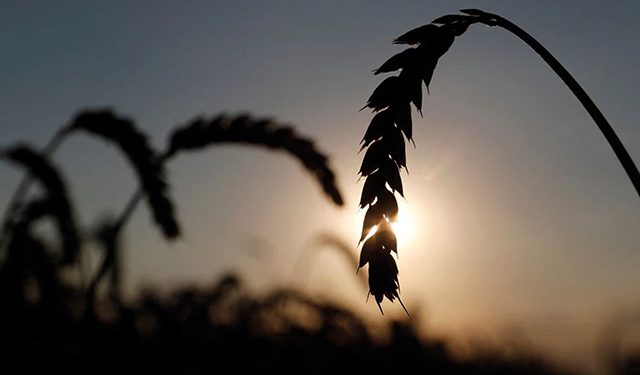 Image source: reuters.com