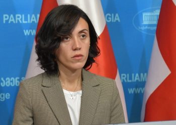 UNM MP Ana Tsitlidze Stops Hunger Strike
