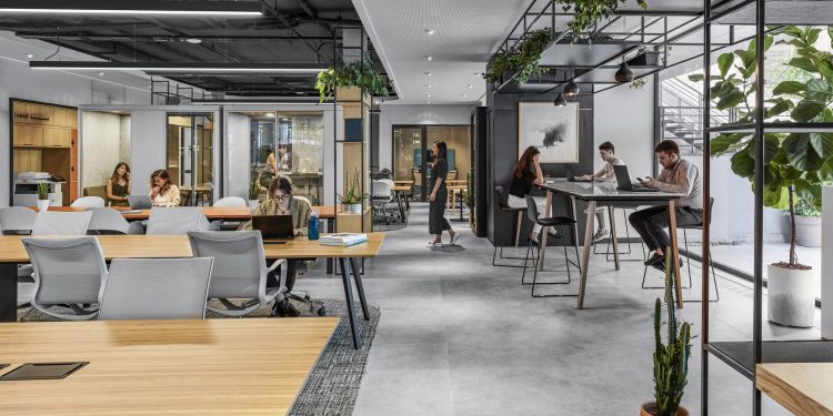 Coworking Spaces and Traditional Offices - Georgia Today